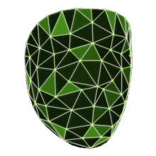 WIREFRAME mask